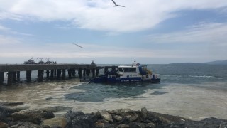 Kartal sahilleri deniz salyasından temizleniyor