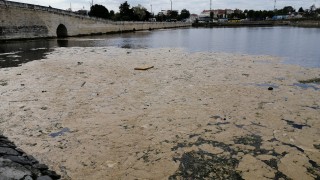 Küçükçekmece Gölü'ndeki deniz salyası temizleniyor