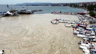 Tekirdağ'da balıkçı barınağı salya ile kaplandı