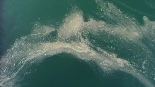 Yalova sahillerini kaplayan deniz salyası rüzgarın etkisiyle dağılmaya başladı