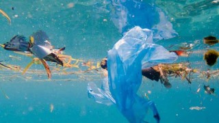 Denizlerin plastik savaşçıları