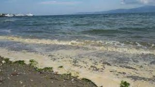 Marmara Denizi'ndeki müsilaj, Çanakkale ve Bursa kıyılarında rüzgarın etkisiyle yüzeyde görülüyor
