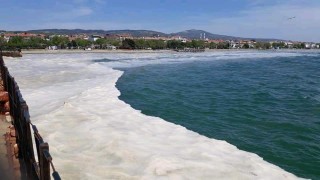 'Marmara'da müsilajı 2 yılda parçalayarak bertaraf edebiliriz'