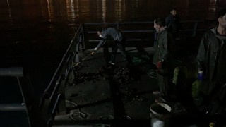 Marmara'nın her köşesinde midye avcıları…Uzmanlar uyardı
