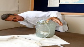 Prof. Dr. Tecer: Müsilajı parçalayıp, deniz suyuna oksijen kazandırdık