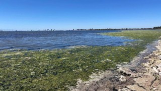 Prof. Dr. Yaşar'dan müsilaj ve deniz maruluna karşı öneriler