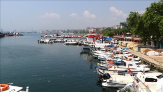 Tekirdağlı balıkçılar müsilaj nedeniyle denize ağ atamıyor