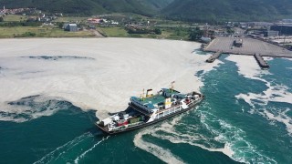 Yalova'da deniz yeniden müsilajla kaplandı 