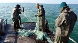 İnci kefalinde av yasağı sona erdi, balıkçılar ağlarını göle bıraktı