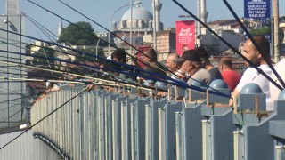 İstanbul Boğazı ve Galata Köprüsü olta balıkçıların akınına uğradı