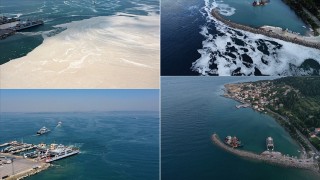 Marmara Denizi'nin güney kıyılarında müsilaj yok denilecek kadar azaldı