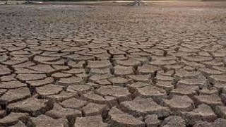 Prof. Dr. Levent Şaylan kuraklık konusunda uyardı