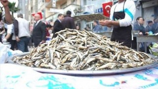 13. Ereğli Balık Festivali'nde 5 bin kişiye balık ekmek dağıtıldı