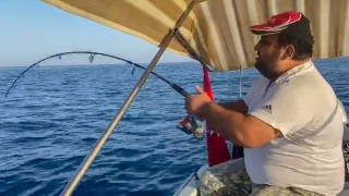 Amatör balıkçı, 30 kiloluk kuzu balığı yakaladı