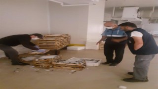 Beylikdüzü'nde yasak zamanında avlanan 350 kilogram istavrite el konuldu