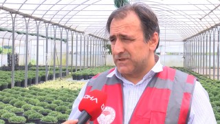 İstanbul'da balık ve yengeç ölümlerinin nedeni belli oldu