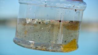 Karadeniz'de 'mikroplastik' tehlikesi