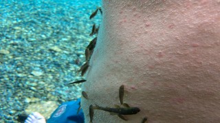 Kısıtlama bitti, 'doktor balıklar' mesaiye başladı