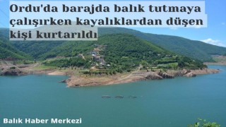 Ordu'da barajda balık tutmaya çalışırken kayalıklardan düşen kişi kurtarıldı