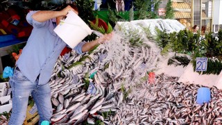 Av yasağının sona ermesiyle Trabzon'daki balık tezgahları istavritle şenlendi