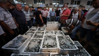 Bandırma Balık Hali'ndeki mezatta sezonun ilk balıkları alıcı buldu