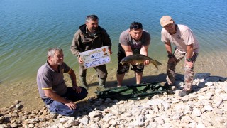En büyük balığı yakalamak için yarışıyorlar