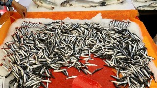 Hamsi bu sezon tezgahlardaki yerini erken aldı