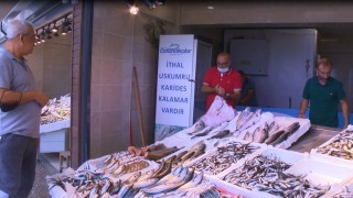 Karadeniz’de hamsi gözüktü