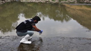 Kars Çayı'nda balık ölümlerinin nedeni; oksijen yetersizliği