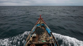 Kıyıköylü balıkçıların ağına sezonun ilk gününde istavrit takıldı