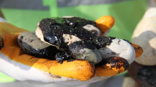 Mersin'de 25 kilometrelik sahilde sızıntı temizliği