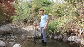 'Ölmesinler' diye çaydan çaya balık taşıdı