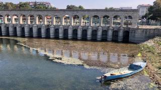 Onlarca canlının yaşam alanı sazlıklar, Beyşehir Gölü'nü koruma adına kesildi