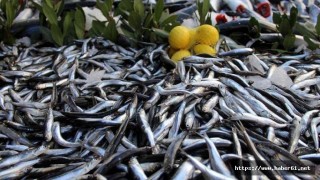 Trabzon'da balık fiyatları