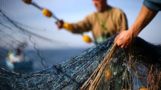 Trabzon'da balıkçılar av sezonunun ilk gününde bol miktarda istavritle kıyıya döndü