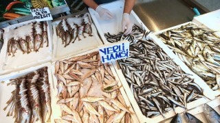 Trabzonlu balıkçılar "fiyatların düşmesi için" deniz suyunun soğumasını bekliyor