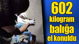 Usulsüz avlandığı belirlenen 602 kilogram balığa el konuldu