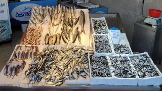 Hamsi avı azaldı, fiyatı arttı