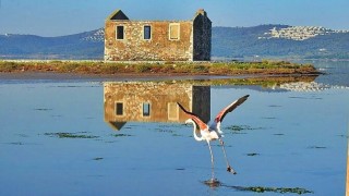 Kuş Cenneti turizm tehdidiyle karşı karşıya