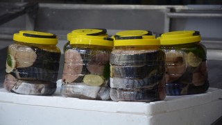 Lakerda 2 kiloluk kavanozlarda 400 liraya satışa çıktı