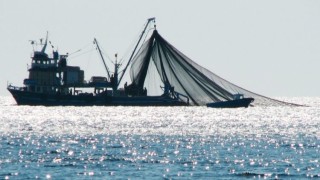 Somali, kara sularında kaçak balıkçılığa izin vermeyeceğini açıkladı