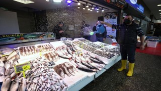 Trabzon'da olumsuz hava koşulları hamsi ve istavrit bolluğunu etkilemedi