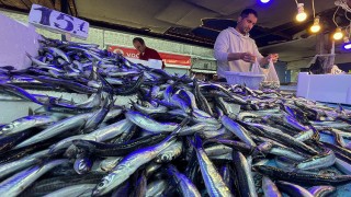 Trabzon'da tezgahlarda hamsi ve istavrit bolluğu yaşanıyor