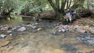 Yalova'daki endemik kalın dudaklı tatlı su kefalinin nesli kritik seviyeye düşüyor