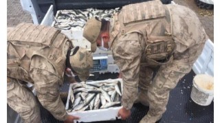 Bitlis'te kaçak balık avlayan kişiye 1854 lira idari para cezası