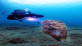 Deniz ekosistemi için önemli pina popülasyonu risk altında