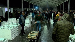 Hamsinin Türkiye'den ABD'ye 10 bin kilometre yolculuğu 