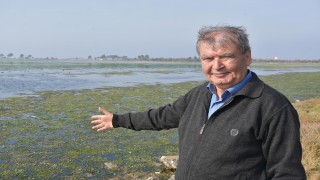 İzmir Çakalburnu Lagünü deniz maruluyla kaplandı