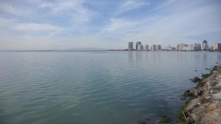 İzmir'de denizin rengi marulların temizlenmesiyle maviye döndü