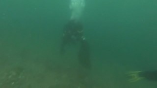 Kaçak avcılar Boğaz'da avladıkları 2 ton midyeyi deniz dibine saklamış